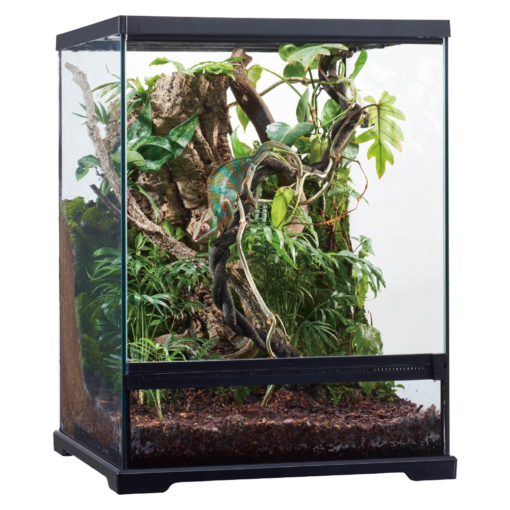 GEX グラステラリウム 4530 （暖突付き） セット GEX グラステラリウム